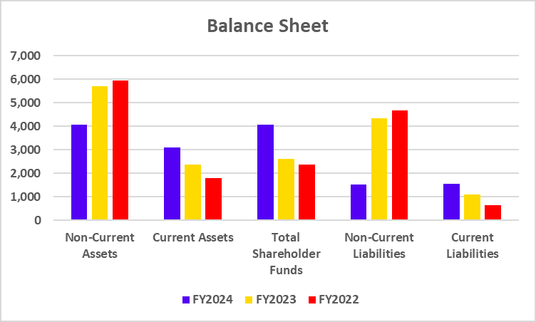 Trent Limited Balance Sheet