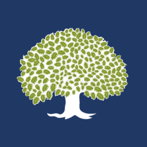 WhiteOak Capital Mutual Fund